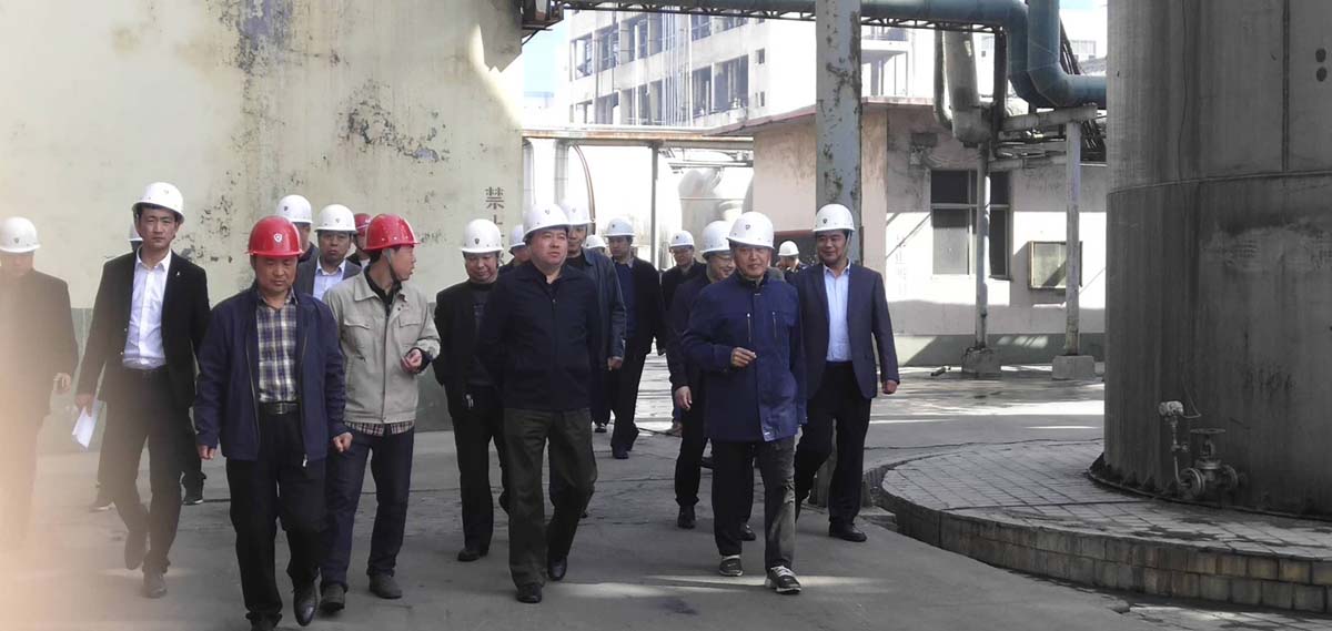2019年3月25日姚市长视察永昌化工