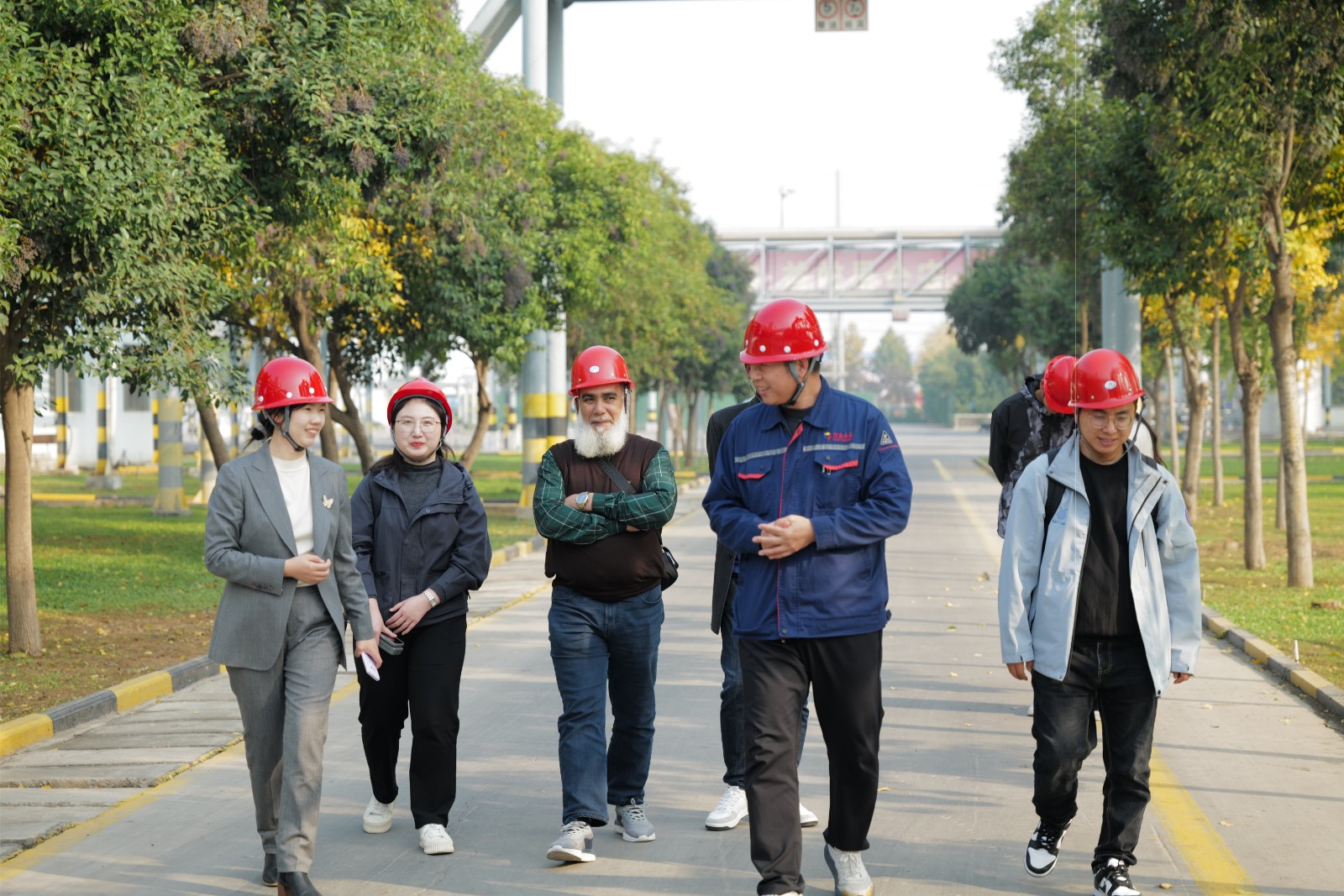 1763010144262506.jpg 4.jpg