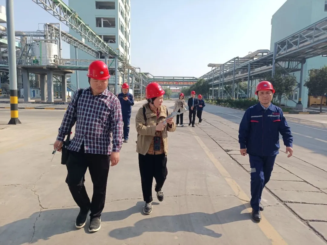 省级新闻媒体来我公司做专题报道
